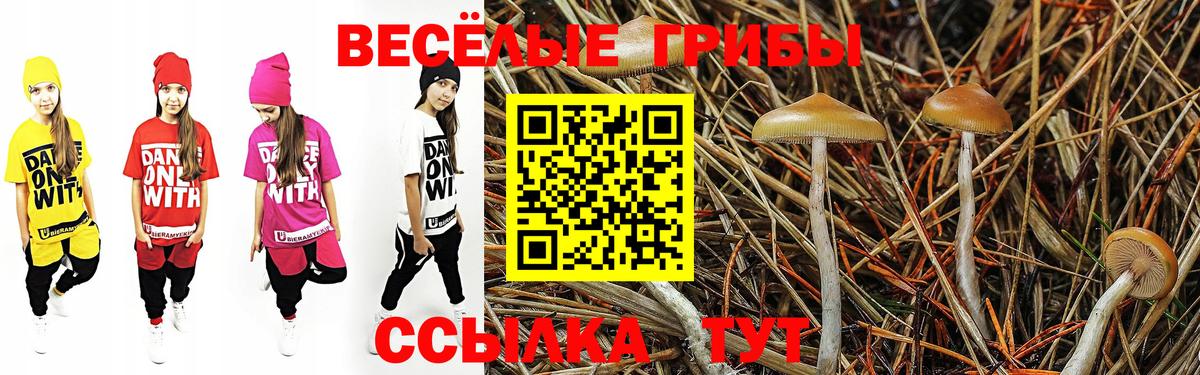 Кемерово  Галлюциногенные грибы Cubensis  Вход с VPN  Галлюциногенные грибы Psilocybe 
