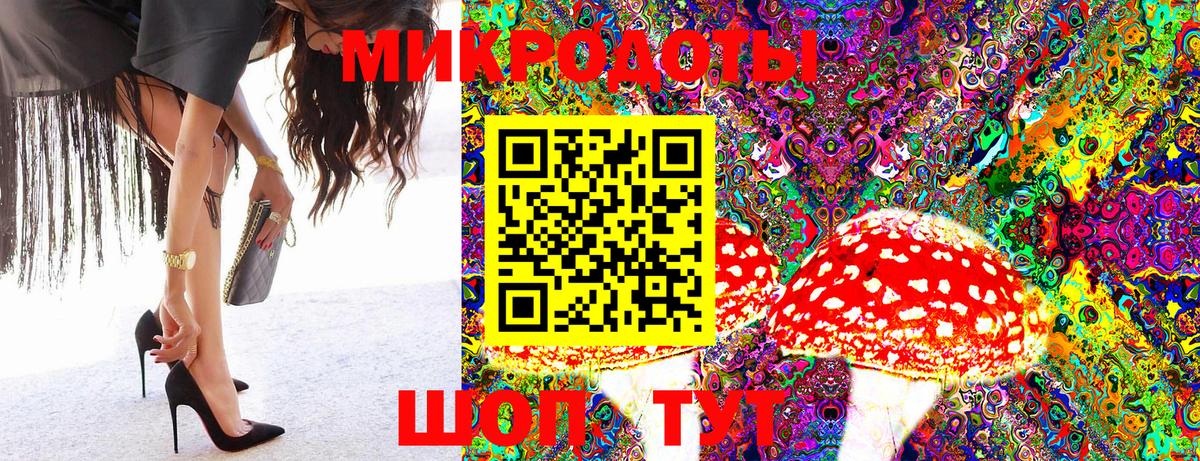 Псилоцибиновые грибы прущие грибы Кемерово